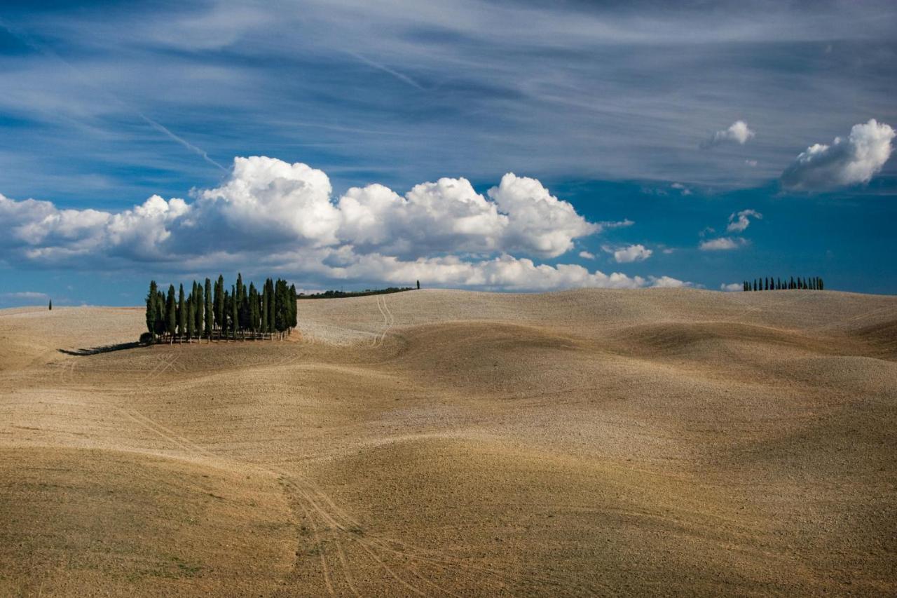 Chimera Tuscany Resort アレッツォ エクステリア 写真